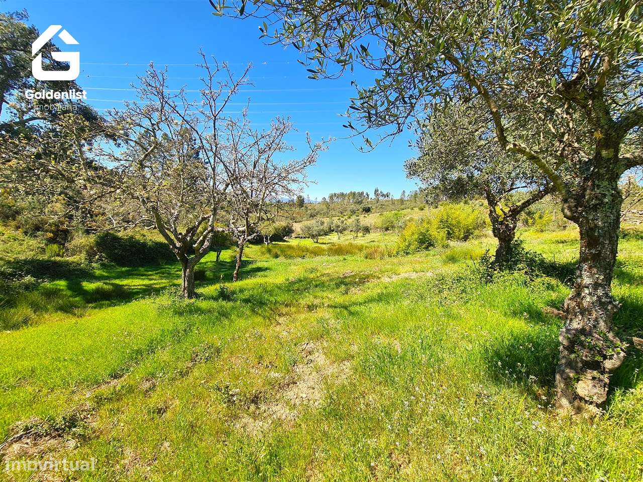 Terreno  Venda em Cebolais de Cima e Retaxo,Castelo Branco-18