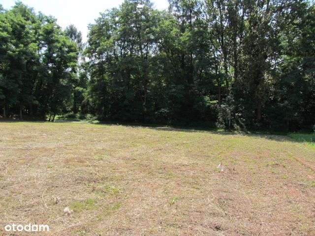 Działka budowlana- Myszkowice, Powiat Będzin - Pełny obrazek: 5/9