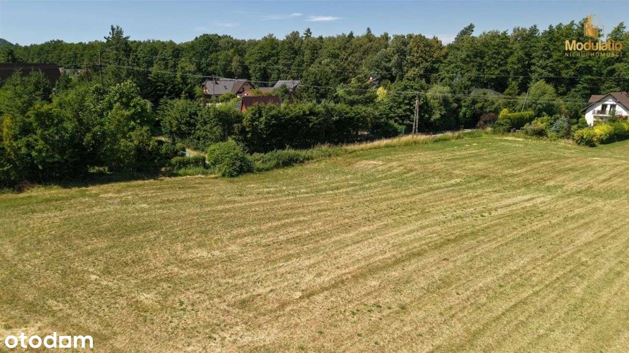 Duża Działka W Spokojnej Okolicy! Kanalizacja! - Pełny obrazek: 5/9