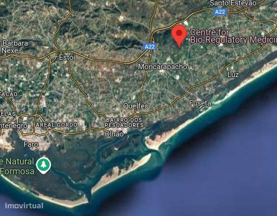 Terreno Rústico no Cerro da Cabeça - Grande imagem: 2/12