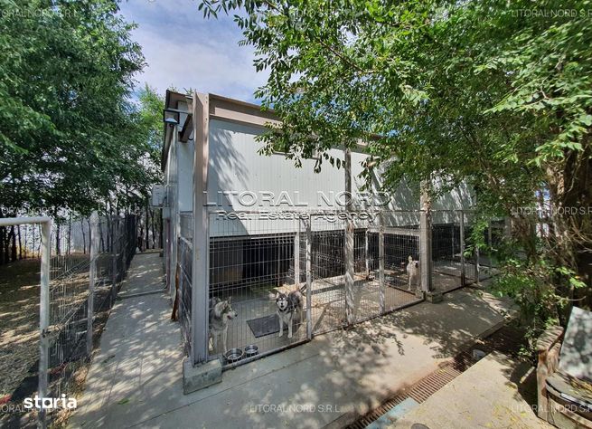 Exclusivitate-Ovidiu-Pet Hotel, 220 mp utili,teren intravilan 1.400mp-12