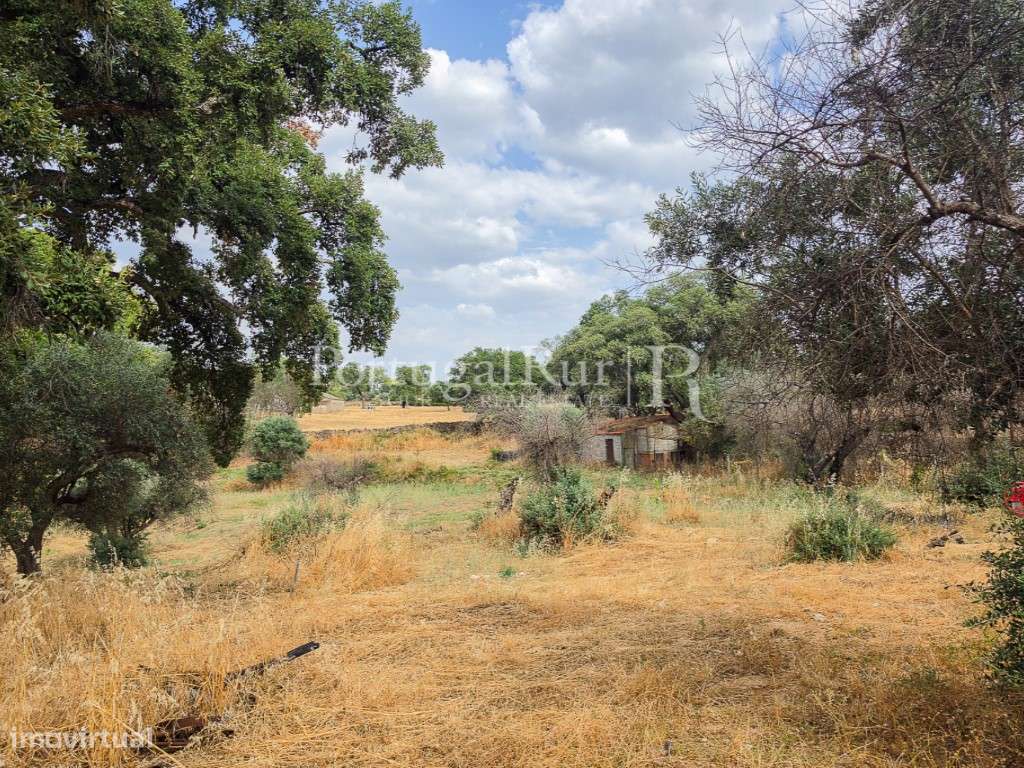 Quintinha de 1.8 hectares em Medelim-22