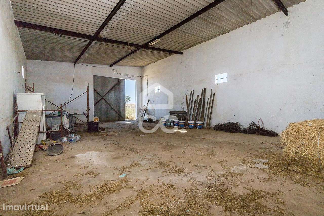 Terreno rústico de 3 hectares, com dependência agrícola, poço e tanque - Grande imagem: 5/29