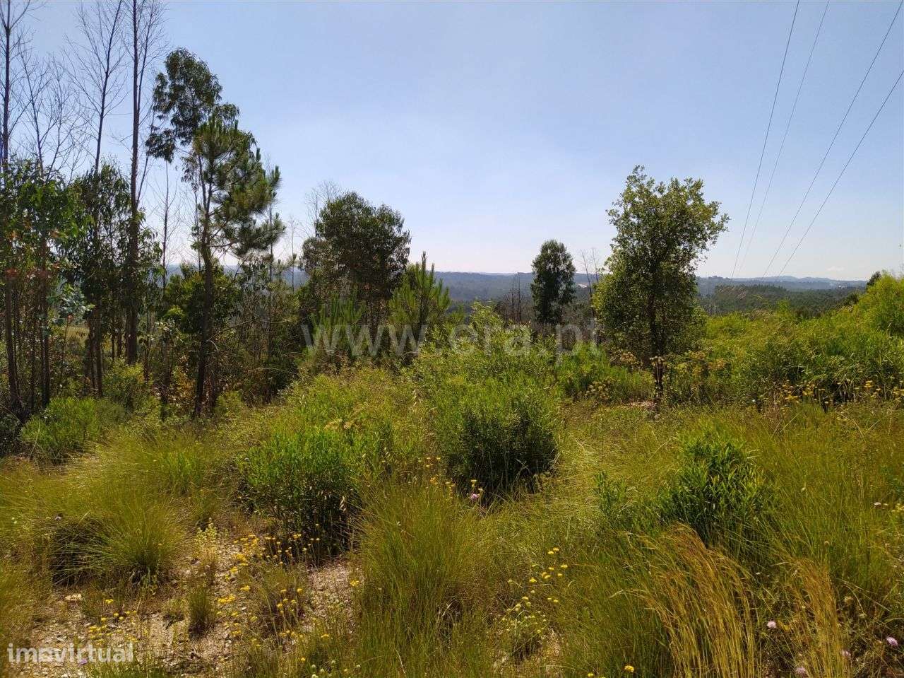 Terreno localizado em Sabacheira! - Grande imagem: 2/6