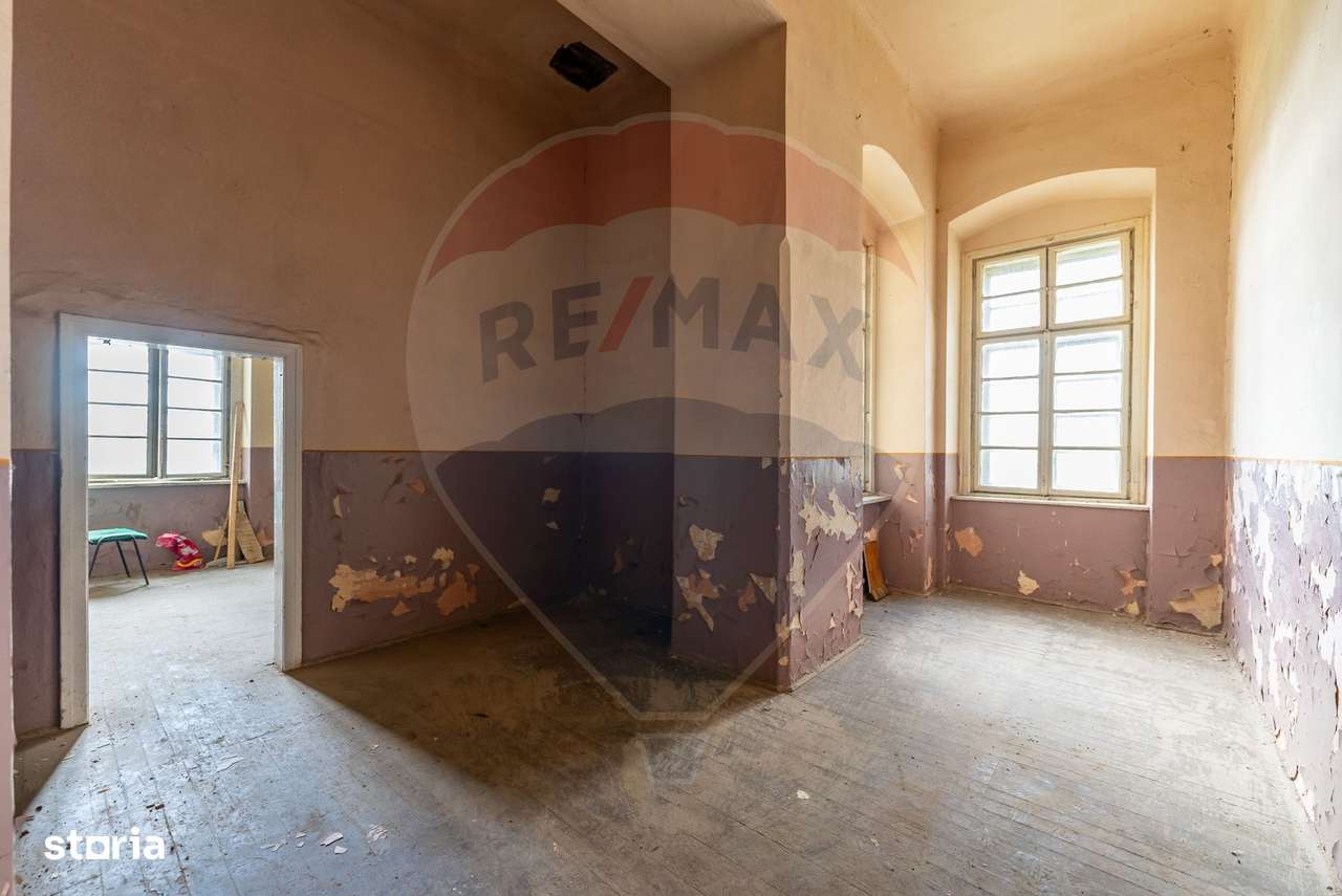 Conac aristocratic secolul XIX , domeniu  2,5 hectare — Păuliș, Arad-15