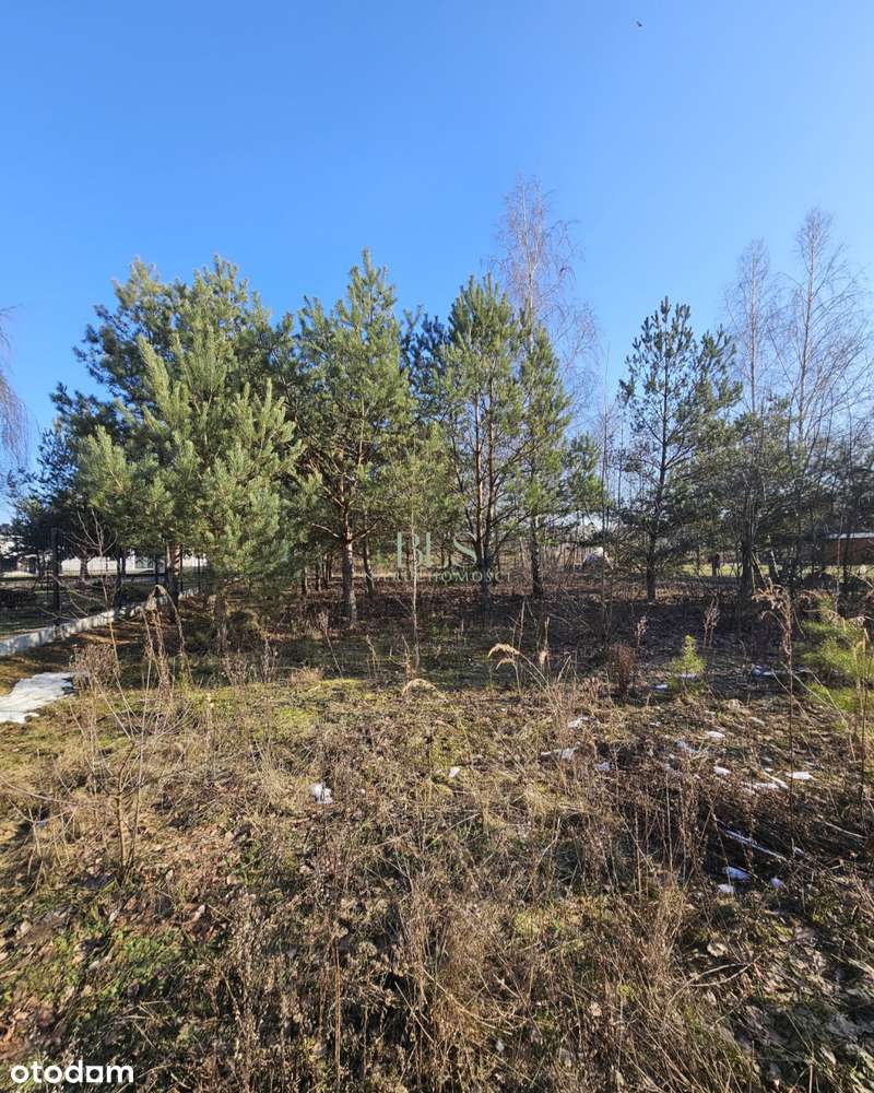 skrzynka energetyczna przy działce-0