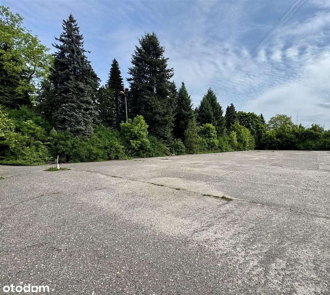 Działka inwestycyjna 6801m² - Bielszowice - Pełny obrazek: 3/7