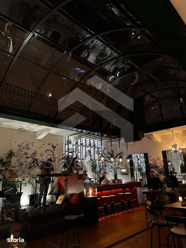 Se vinde sau închiriază Bar-Restaurant la cheie | Piata Unirii-11