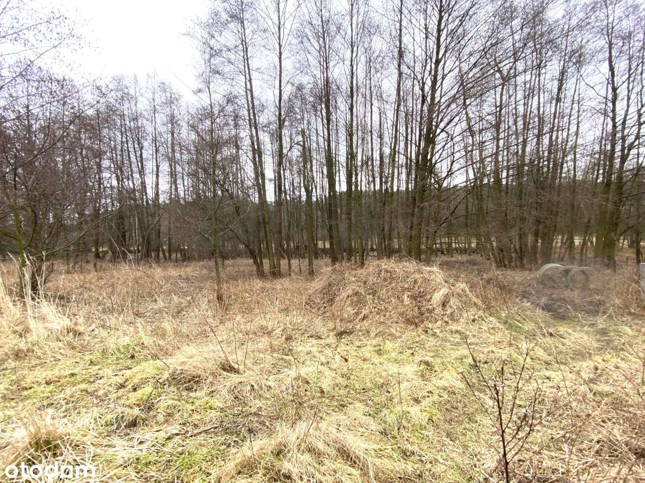 Rozpoczęta Budowa - Płyta Fundamentowa i Porotherm-19