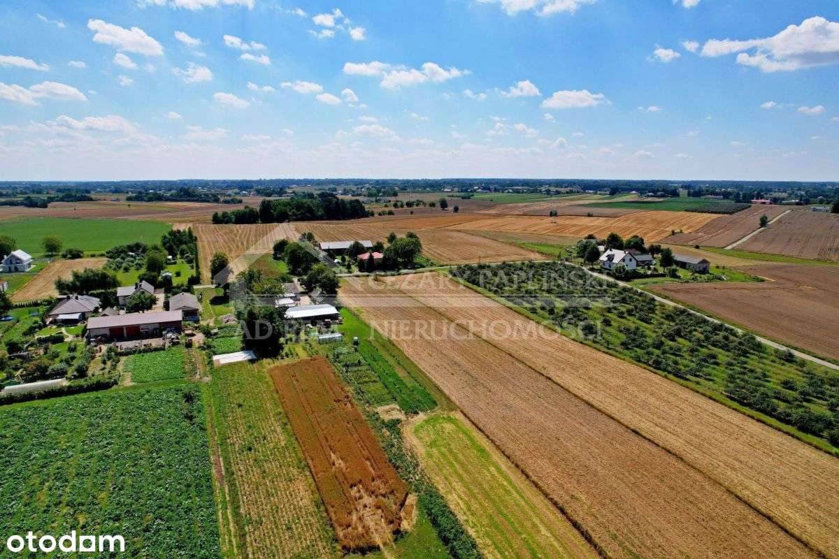 Sieprawice, budowlana, 1500 mkw-3