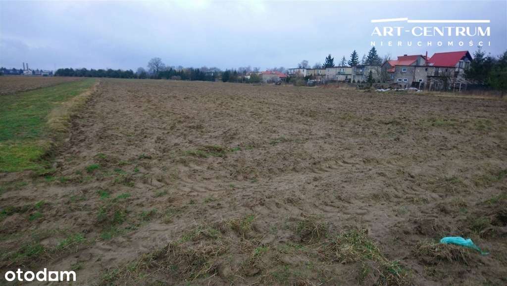 Działka Ciechocinek-5