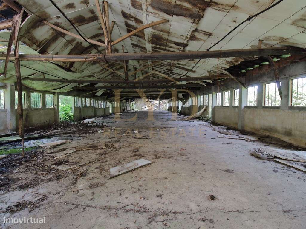Armazém para venda em Amoreira da Gândara, Anadia | Antigos aviário...-8