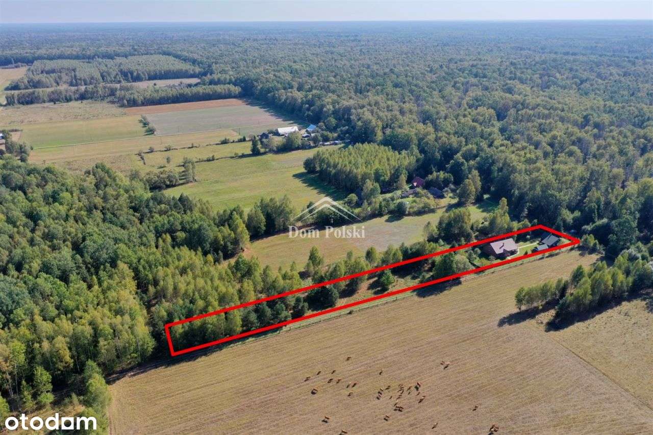 Podlaskie siedlisko w Puszczy Białowieskiej :)-7