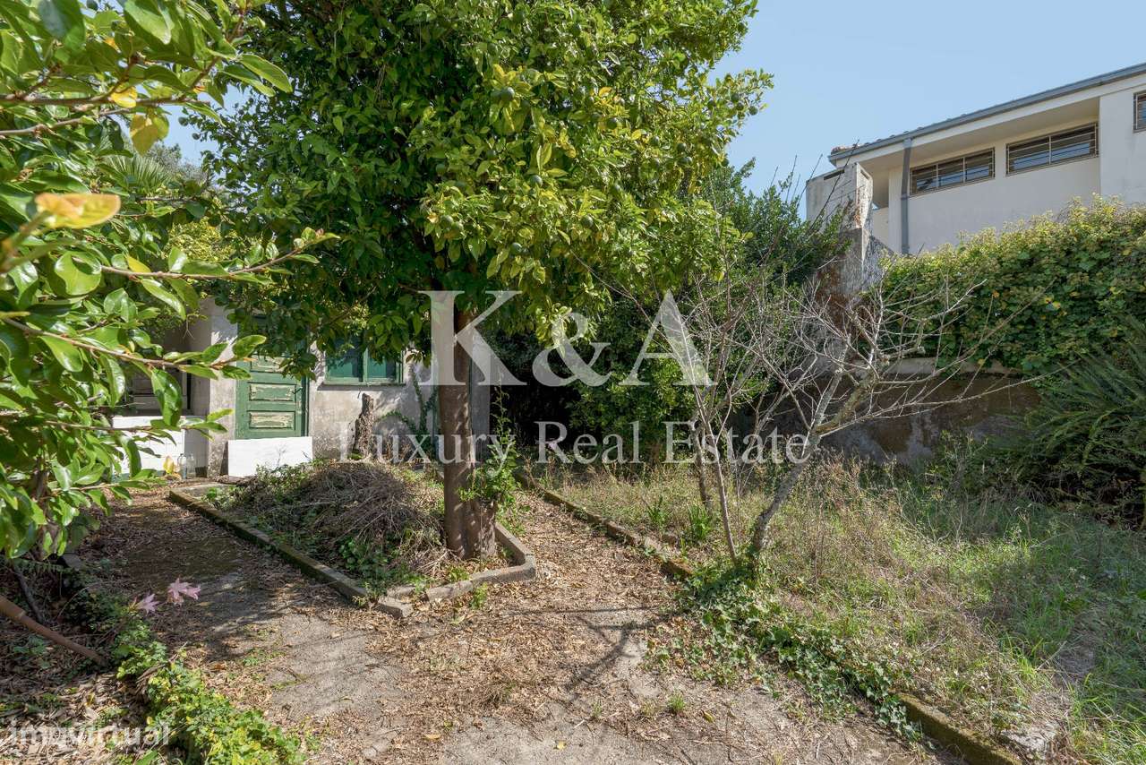 Moradia em Aldoar próxima do Parque da Cidade - Grande imagem: 5/13