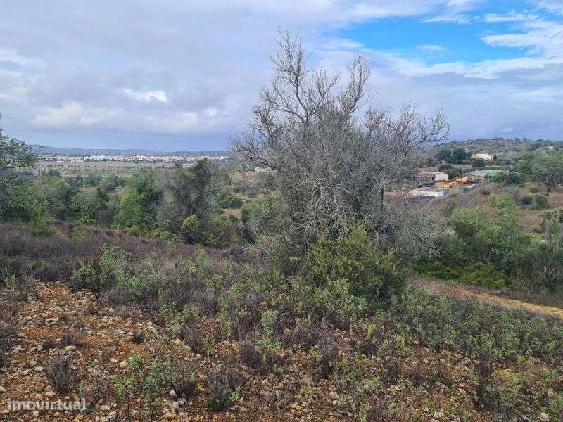 Terreno  Rústico - Grande imagem: 4/7