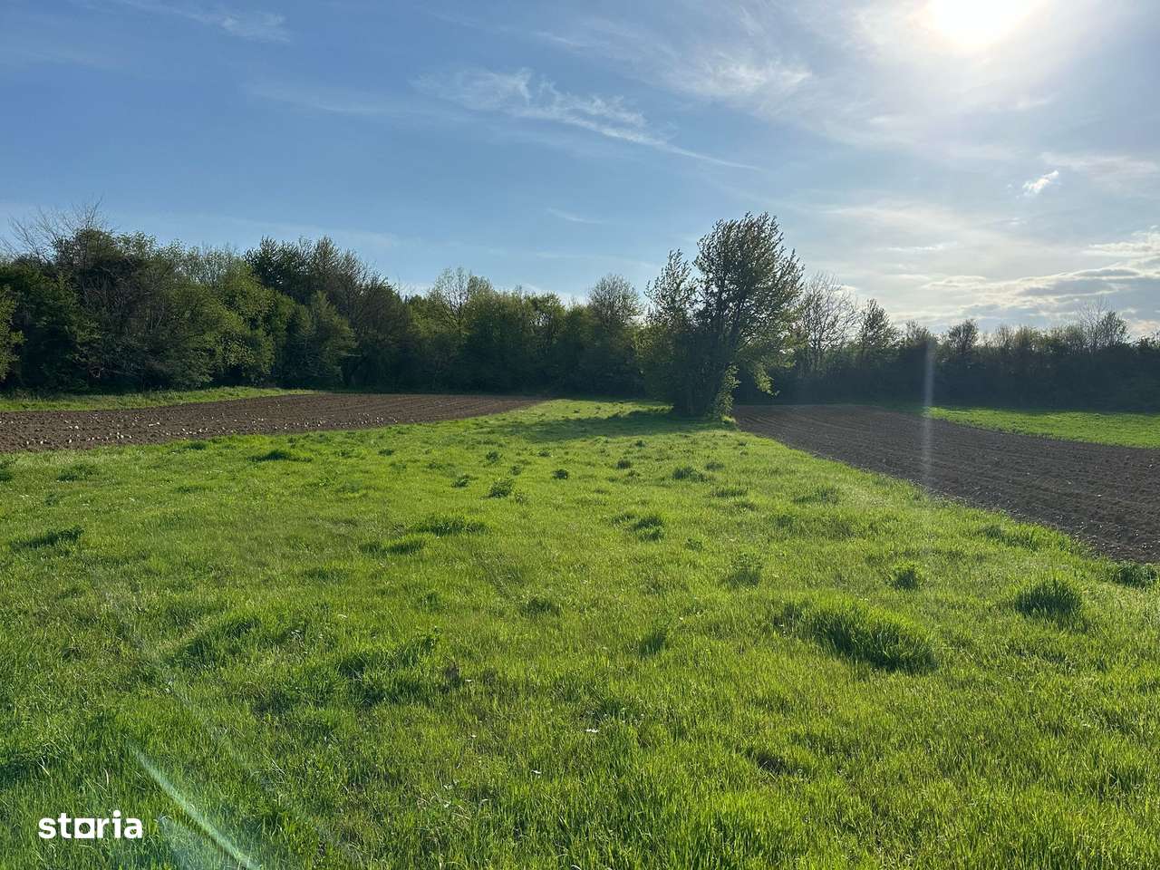 VÂNZARE TEREN CU POTENȚIAL MULTIPLU - Imagine principală: 3/5