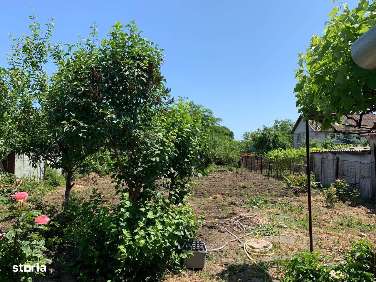 2 PROPRIETĂȚI ALĂTURATE, CASĂ ȘI TERENURI - ULTRACENTRAL TECHIRGHIOL - Imagine principală: 5/8