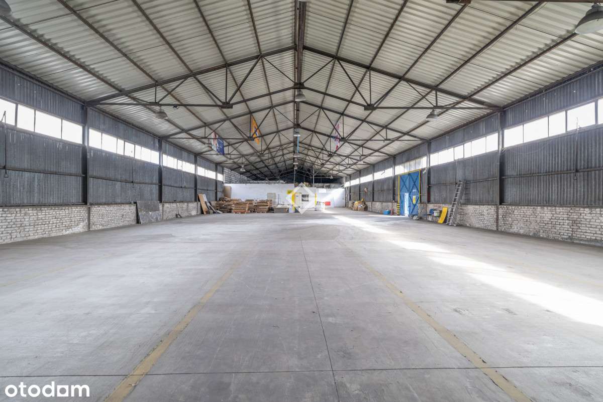 wyposażona hala| wysoki sufit|regały|parking| s7 - Pełny obrazek: 4/10