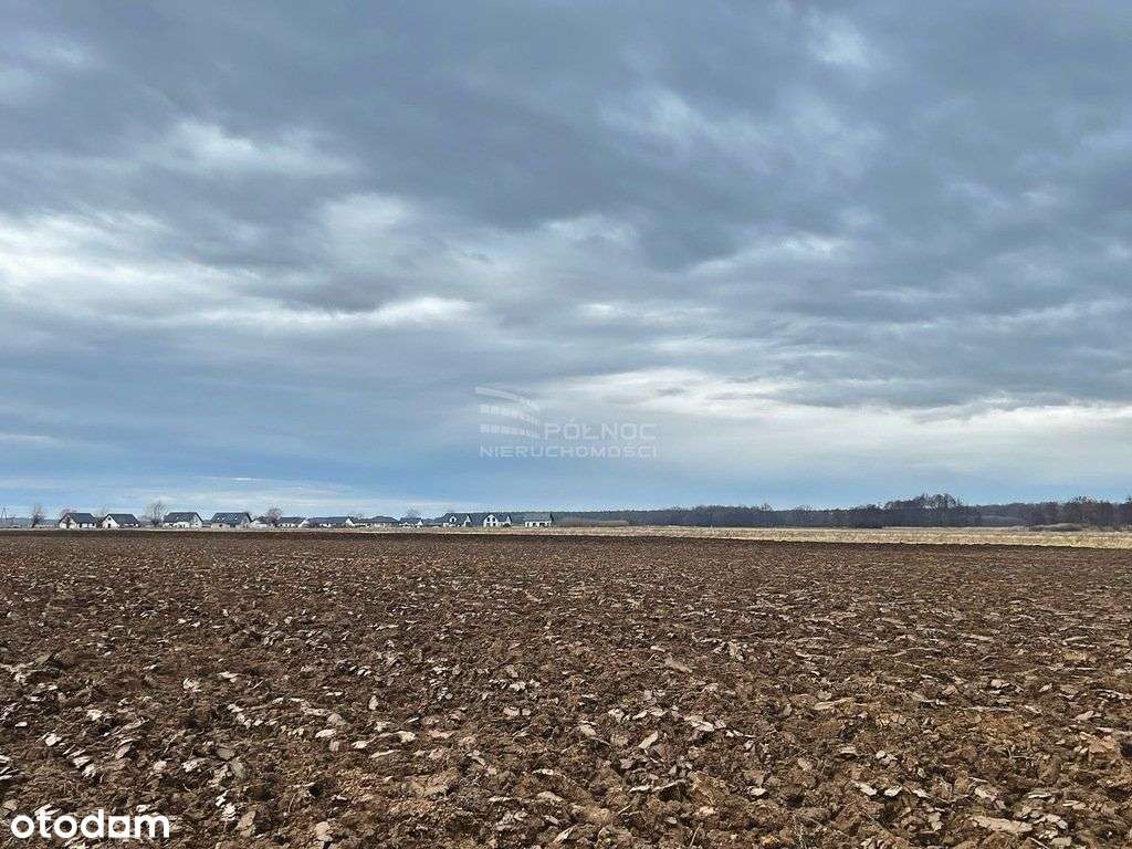 Więcej niż standard! 2 działki po ponad 20a - Pełny obrazek: 5/8