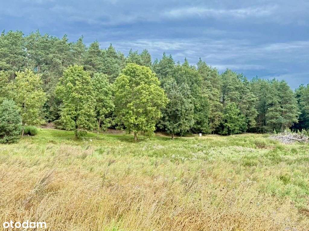 Działka, 6 000 m², Demlin-5