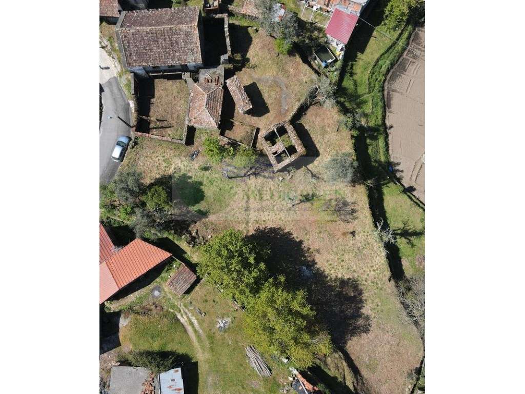 MORADIA BOA TRAÇA | COUTO DE ESTEVES - Grande imagem: 4/40