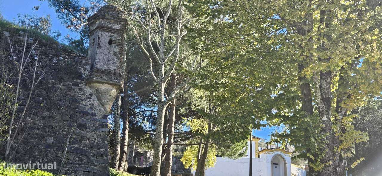 Moradia Térrea no Bairro da Boavista-29