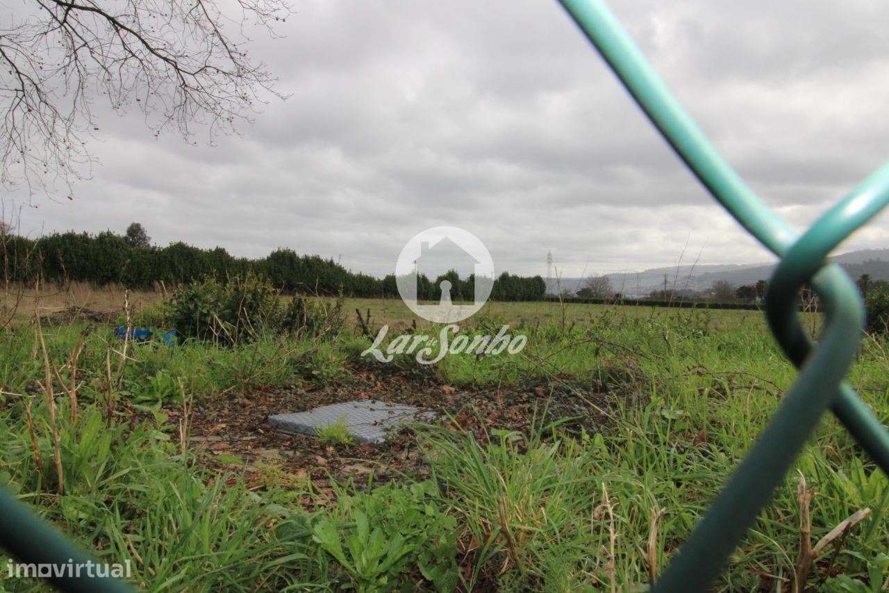 Terreno c/ área total de 8.500 m2 em Lama, Sequeiró Stº Tirso - Grande imagem: 2/4