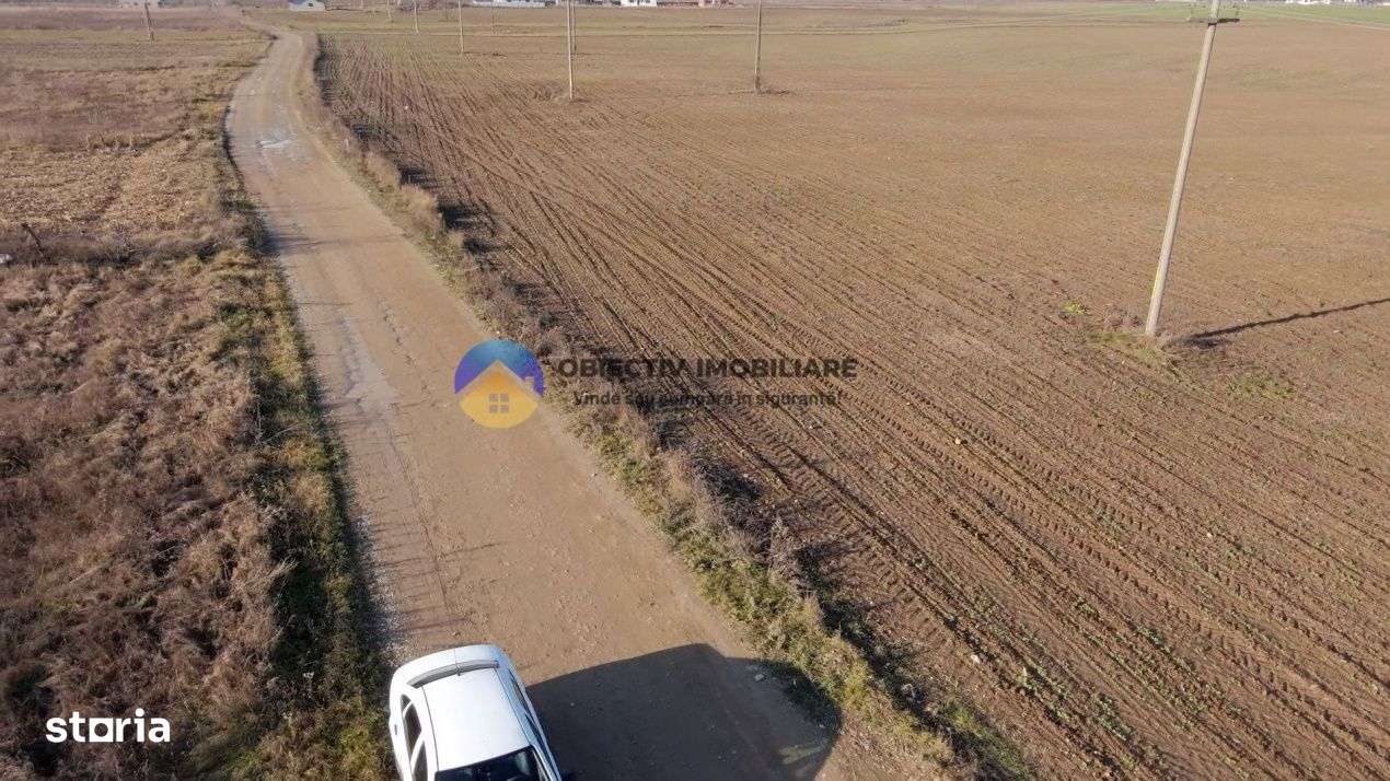 Teren investitie intravilan 3600 mp – Dumbrava Rosie - Imagine principală: 5/6