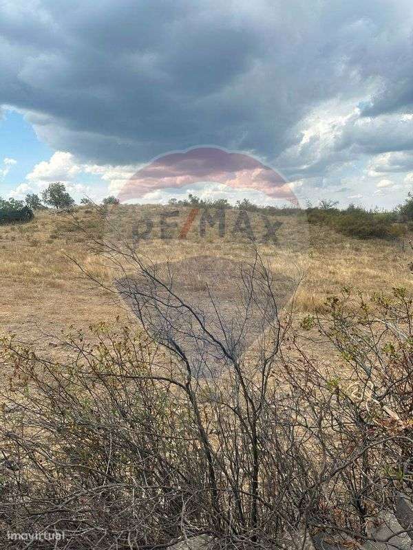 Terreno  para venda - Grande imagem: 3/10