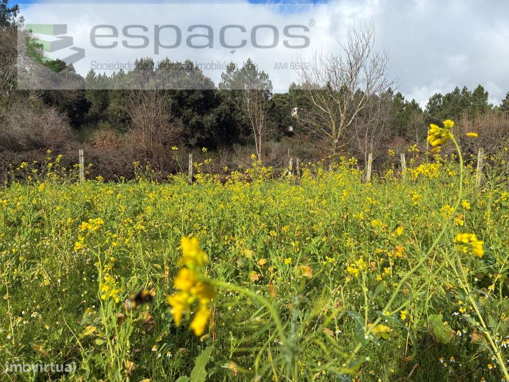Magnifica Quinta a confinar com Rio Zêzere-12