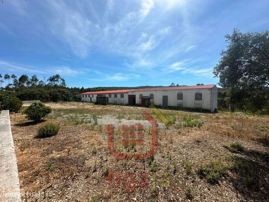 Armazém Industrial/Agropecuário com 9.700 m² de Terreno | Entre Our...-5