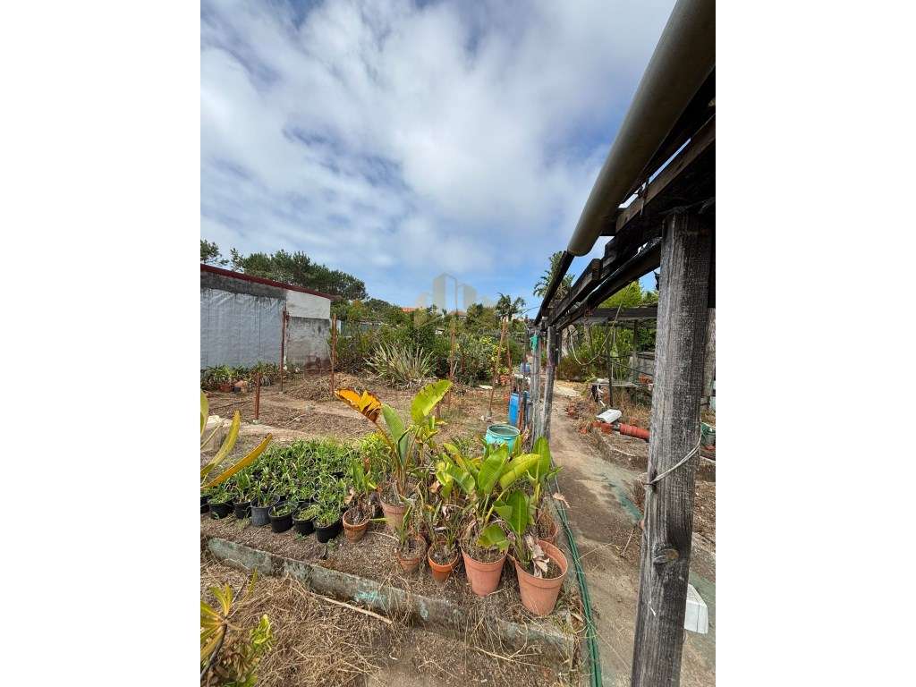 Terreno com 1120m2 em Arcozelo-7