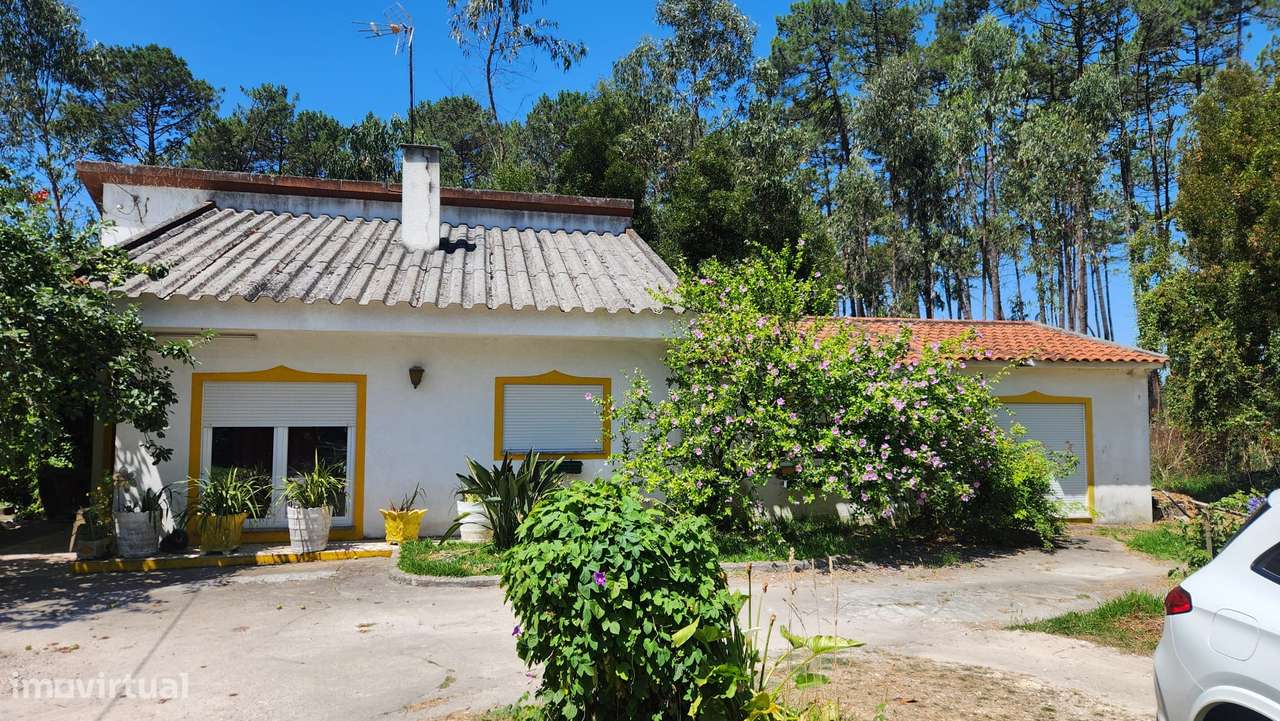 Moradia T3+anexos, térra e isolada. (Negociável) - Grande imagem: 2/38