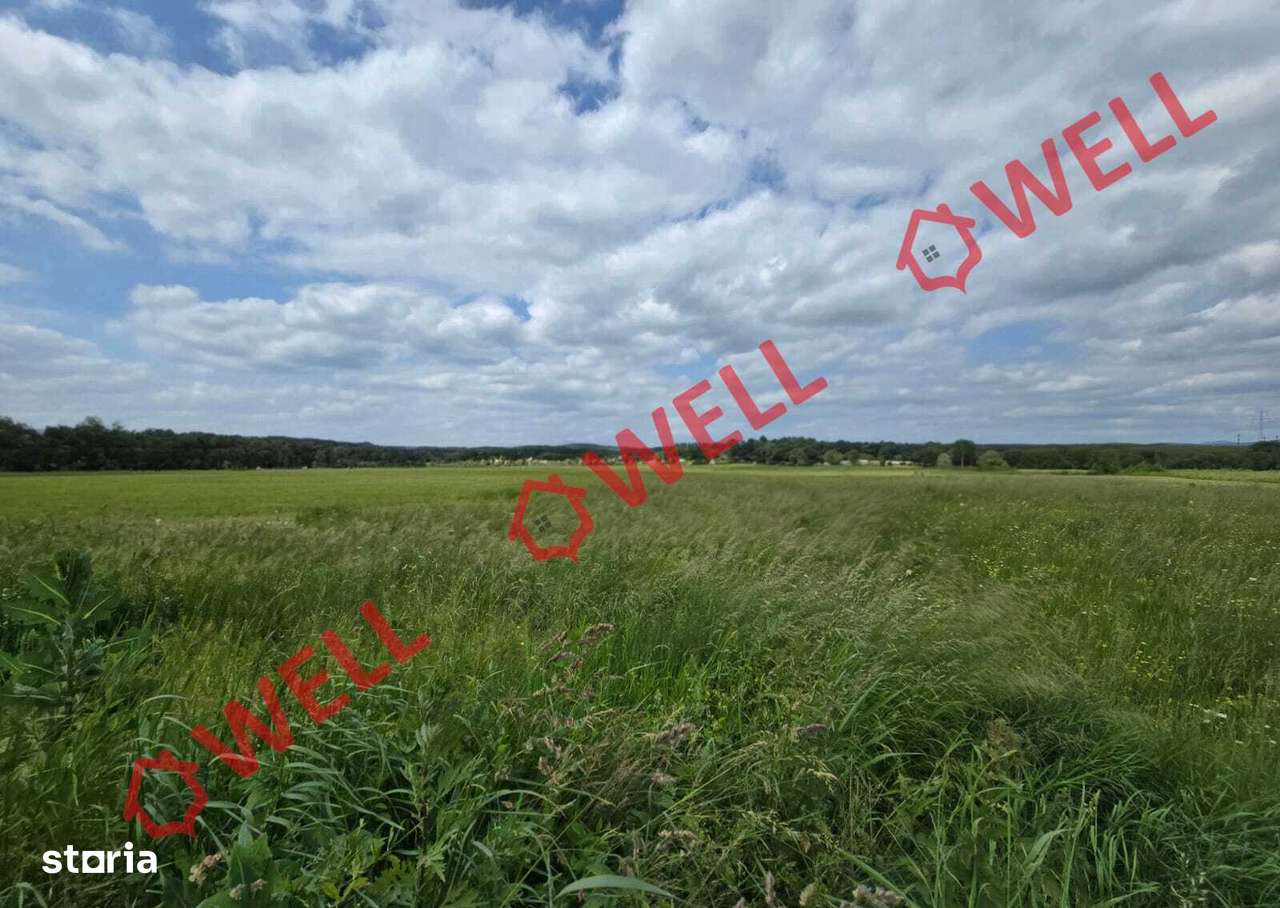 De vânzare teren extravilan în  loc. Sărămaș, com. Barcani - Imagine principală: 4/4