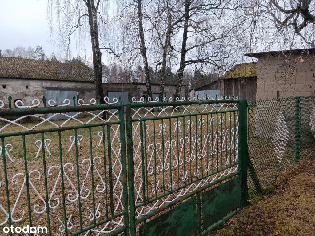 Bardzo ładna działka 12ha  Podlindowo Gm Mszczonów-14