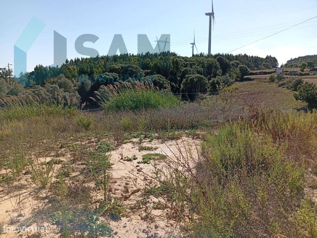 Terreno Urbano_1000m2_Carvoeira_Torres_Vedras-8