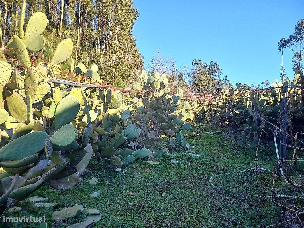 Terreno  para venda - Grande imagem: 3/10