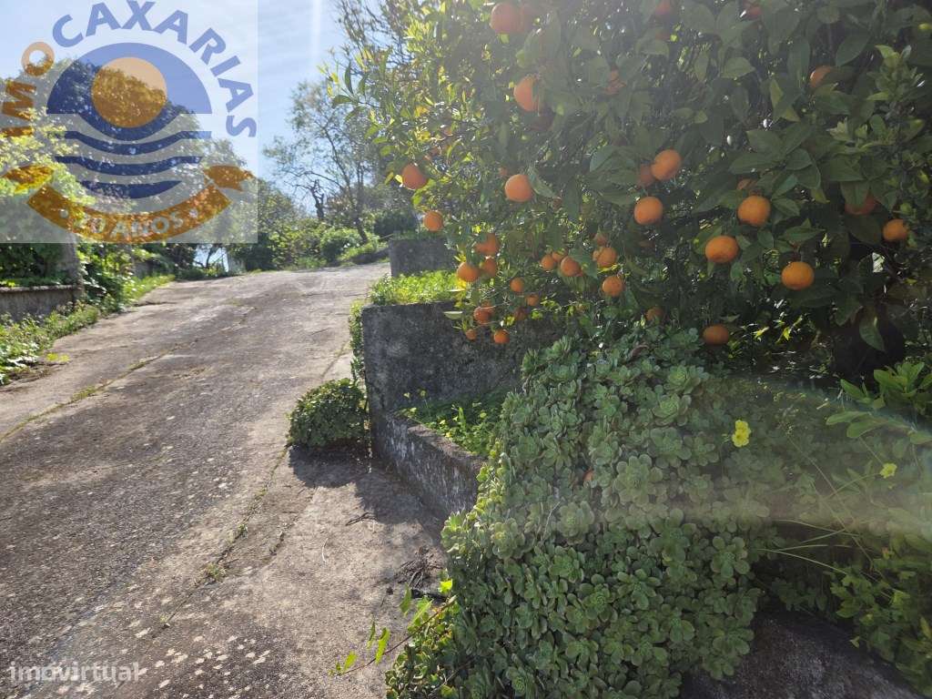 Refúgio Histórico do Séc. XIX: Onde a Tradição se Encontra com a Serra-33