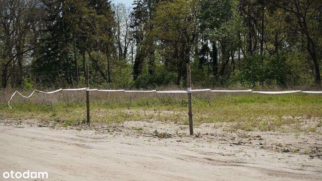 ok.Chrzypsko Wlk.764m2;809m2 lub 1203m2-8