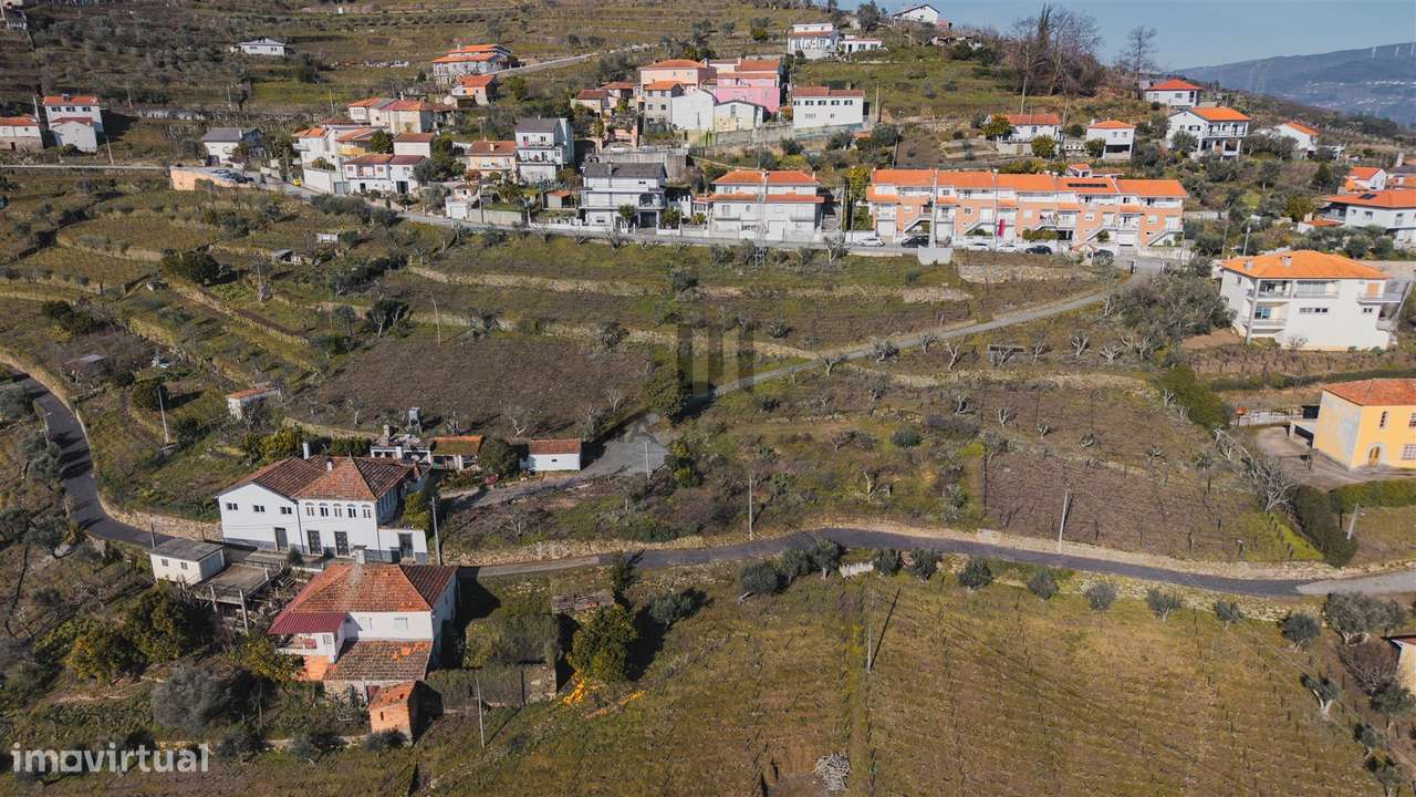 Oportunidade no Douro | Quinta com História | Lamego-6