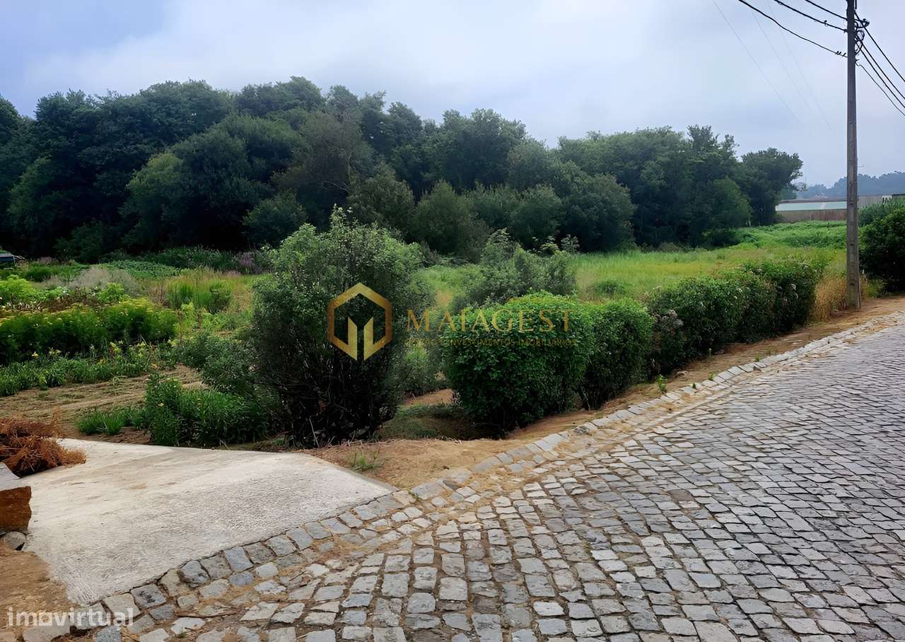 Terreno Agrícola com Capacidade Construtiva em Excelente Localização - Grande imagem: 4/8