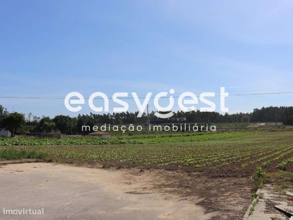 Terreno Rústico com viabilidade de construção no Louriçal - Grande imagem: 4/11