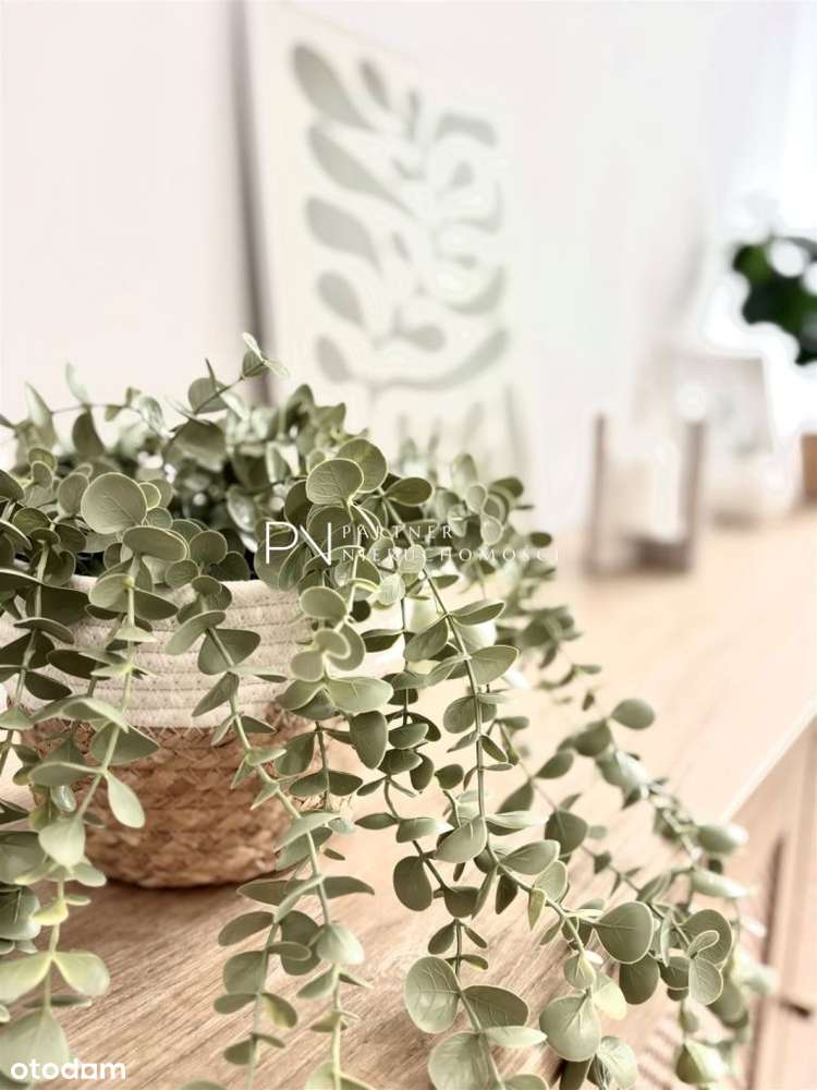 Mieszkanie Premium z pełnym wyposażeniem - Pełny obrazek: 4/13