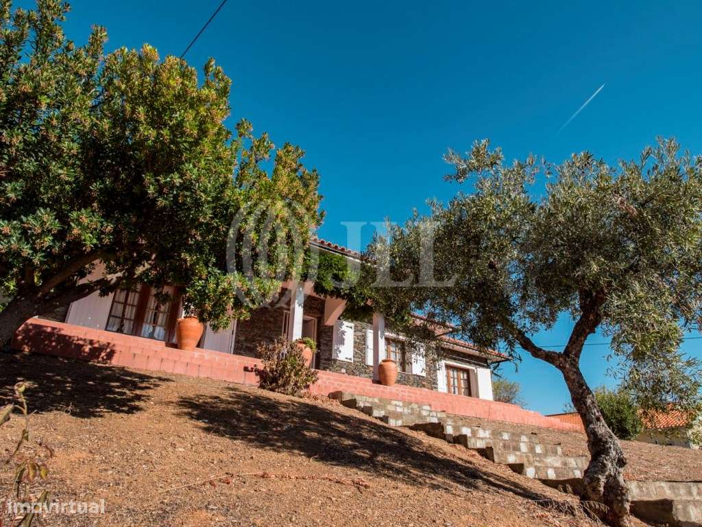 Quinta Meirinhos com 31.094 m2 e piscina, Bragança - Grande imagem: 5/29