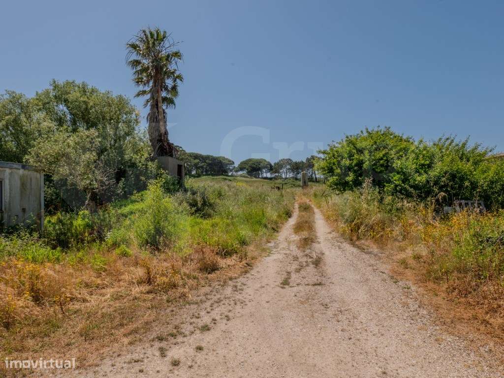 Espaço de armazéns com 2396 m2, três habitações e terreno com 89000m2 - Grande imagem: 5/21
