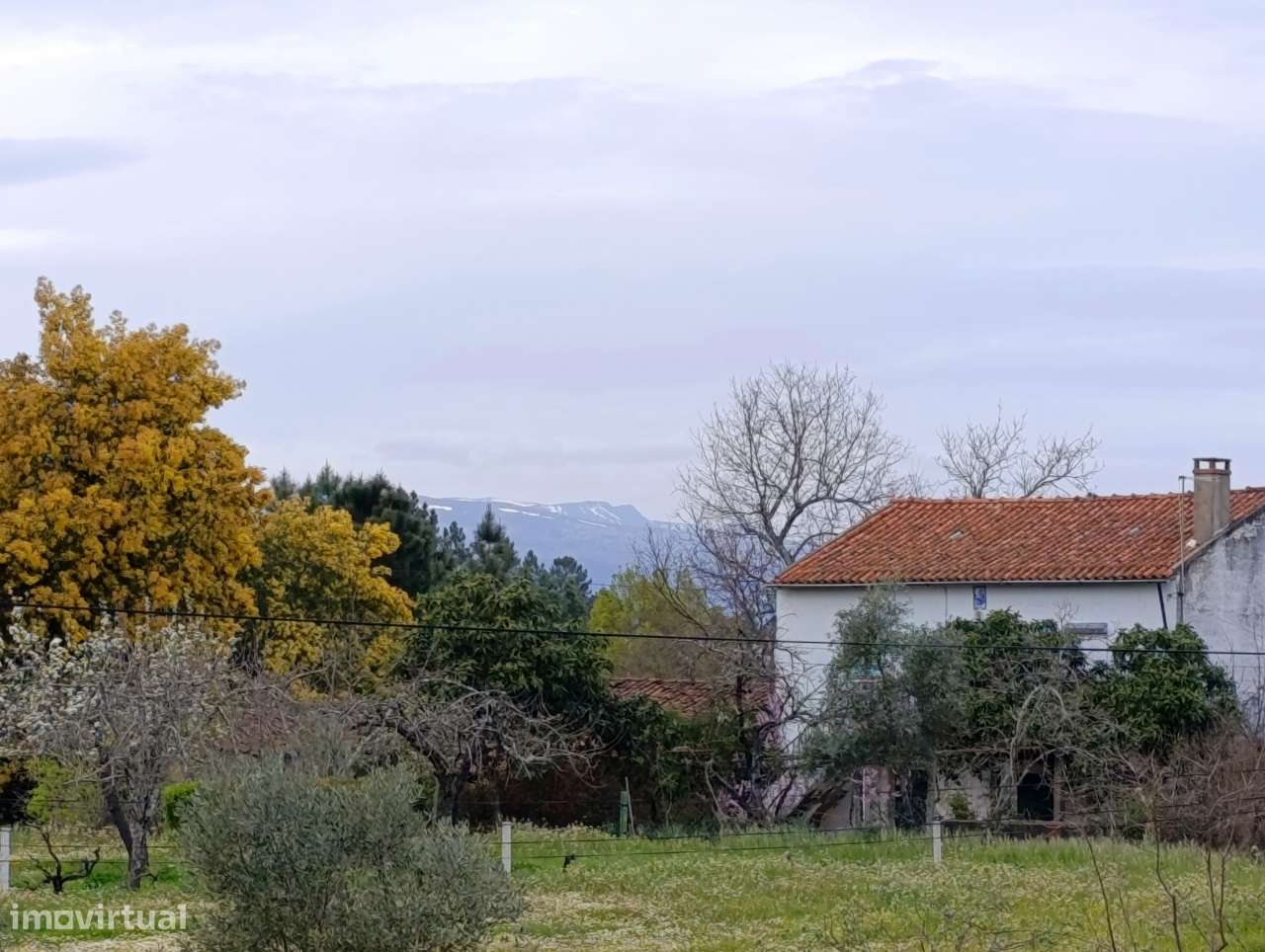 Terreno Rústico em Enxames, Fundão - Grande imagem: 4/36
