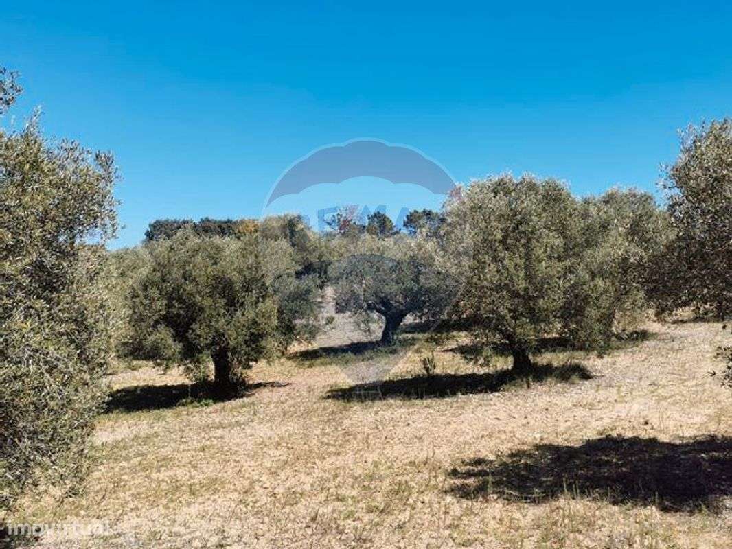 Terreno  para venda - Grande imagem: 4/13