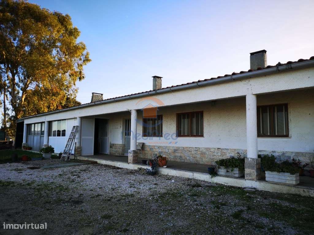 MTM6872 - Quintinha 11.500m2 | Palmela - Grande imagem: 5/25