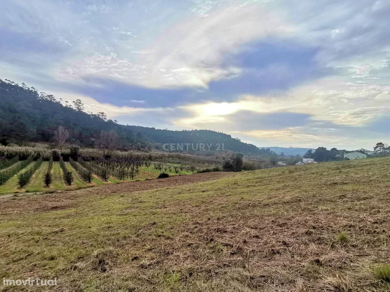 Terreno Urbano para Venda - Possibilidade de construção de 3 moradias