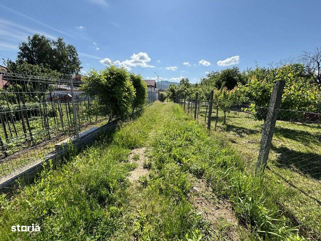 Teren Bujoreni Olteni-2